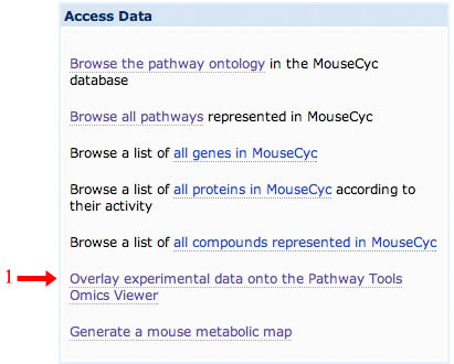 Access Data Box