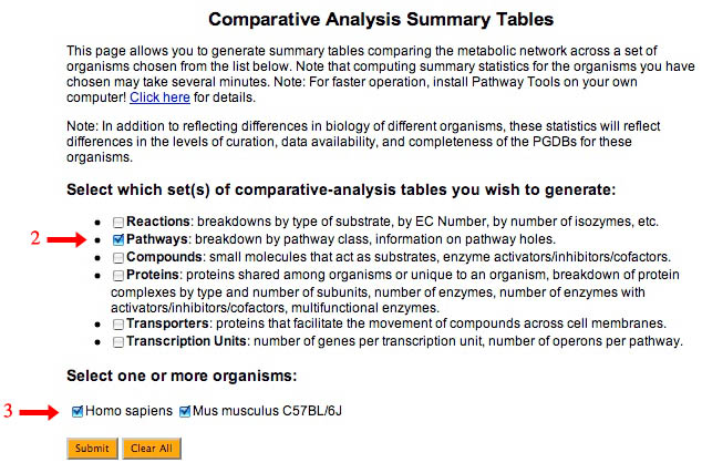 Comparative Analysis