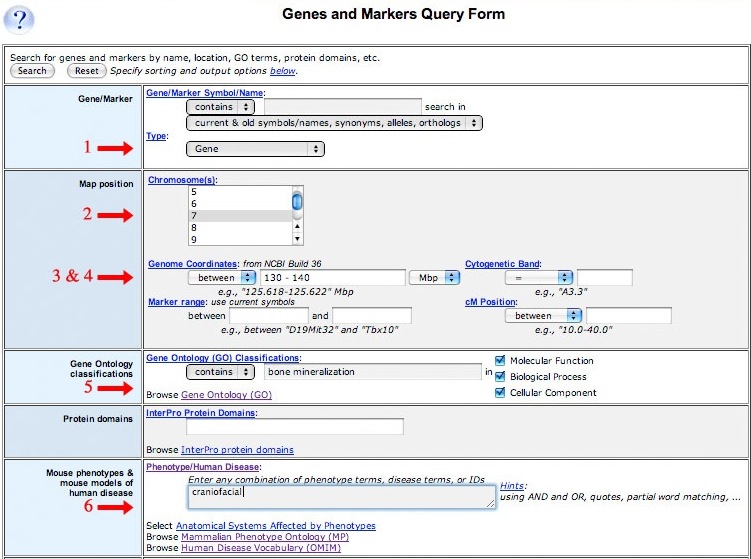 G&M QF Screen Shot