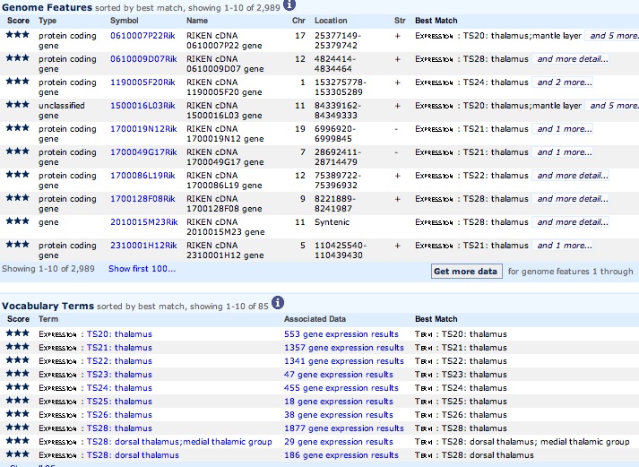 Search Results