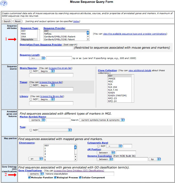 Sequences QF Screen Shot