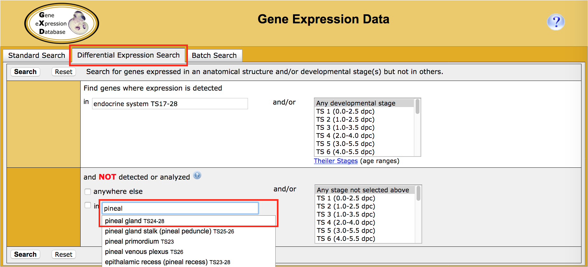 Search Menu GXD EQF Anatomical Structure Screen Shot