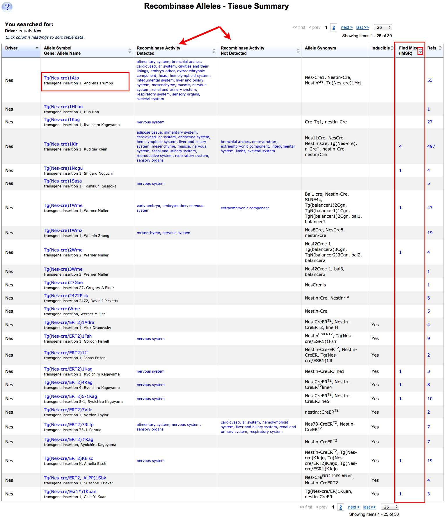 Nes Allele results summary