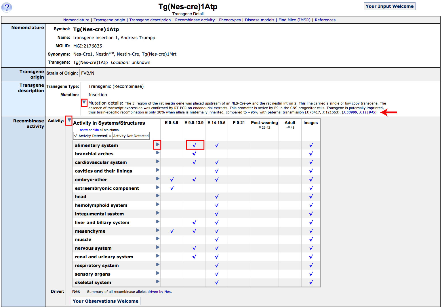 Nes Allele Recombinase Specificity