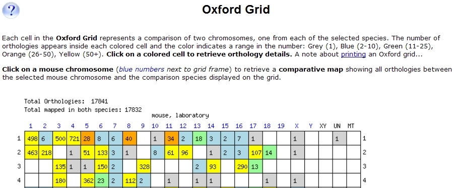 Mouse-Human Oxford Grid