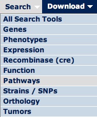 Search Menu Pathways