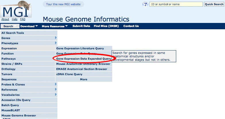 Search Menu GXD EQF Screen Shot