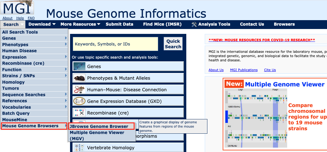 Search Menu Genome Browser Screen Shot
