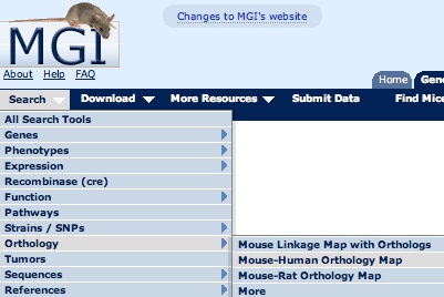 Search Menu Orthology Map