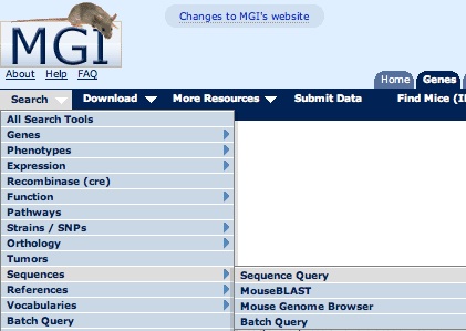 Search Menu - Sequence