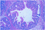 Figure 39