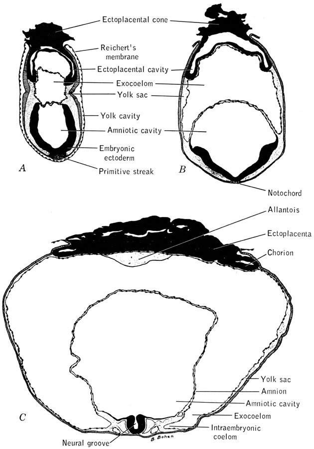 Biology of the Laboratory Mouse Figure 1220
