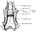 Figure 13-12