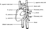 Figure 13-2