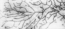 Figure 13-26