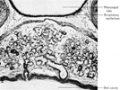 Figure 13-29