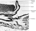 Figure 13-34