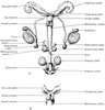 Figure 13-45