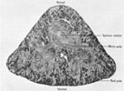 Figure 13-5
