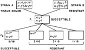 Figure 24-1