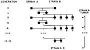 Figure 24-2