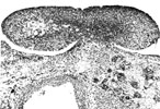 Figure 27-16
