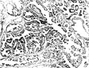 Figure 27-36