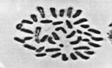 Figure 7-39