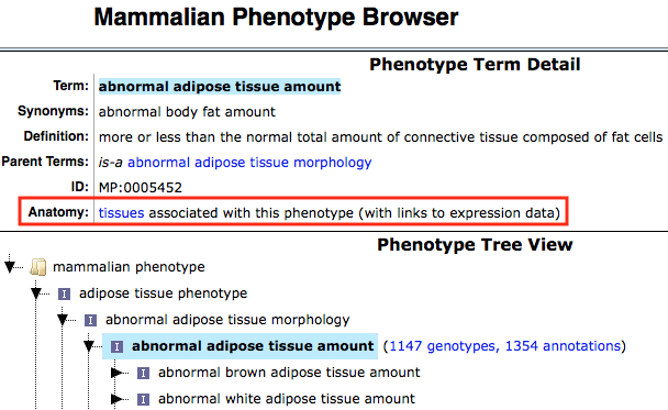 Mammalian Phenotype Browser