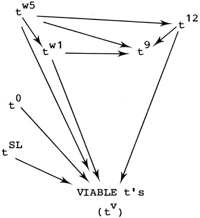 t factor mutations