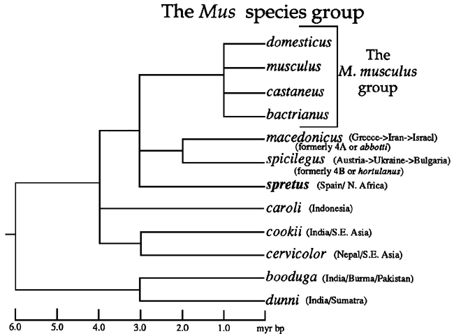 Figure 2.2
