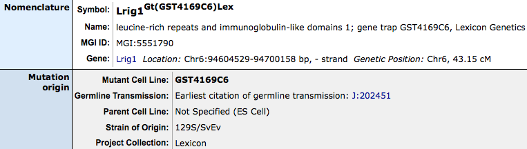 Germline Transmission