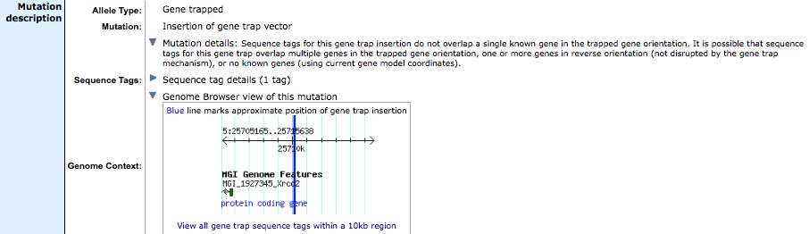 gene trap allele not associated with a gene