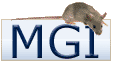 Mouse Genome Informatics Database
