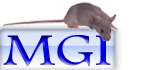 Mouse Genome Informatics