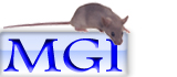 mgi logo