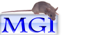 Mouse Genome Informatics