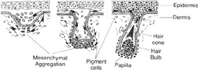 Figure 1-2