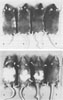 Figure 11-1