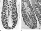 Figure 3-12