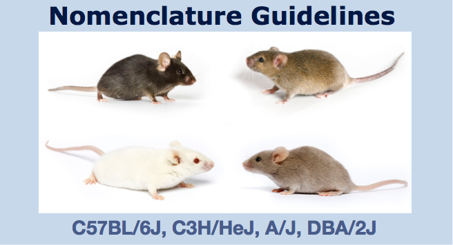 Nomenclature Guidelines