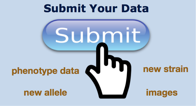 Submit Your Data