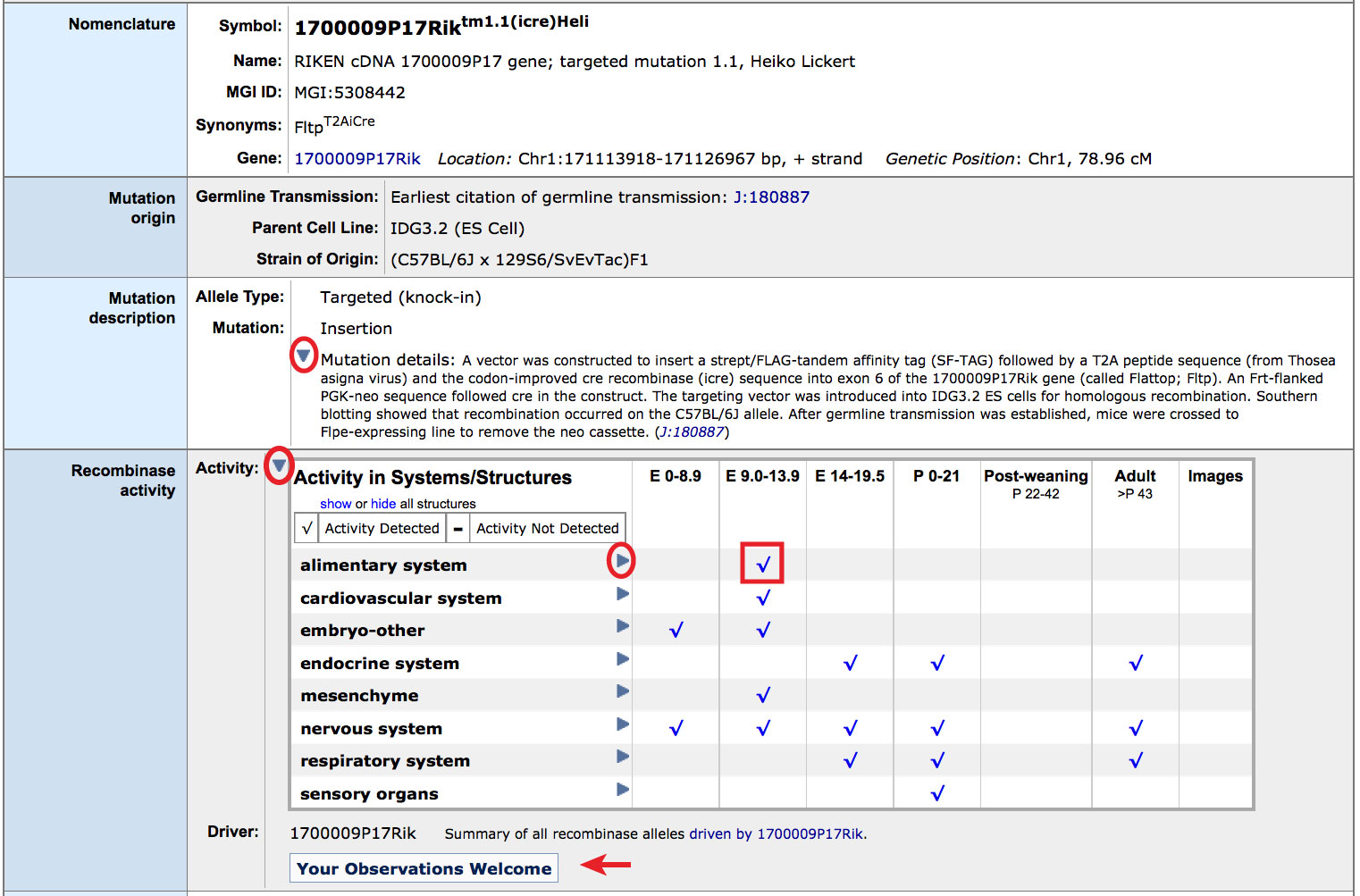 Allele detail recombinase