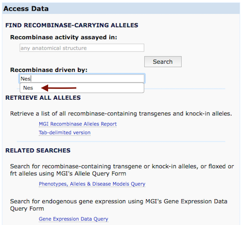 Recombinase driven by