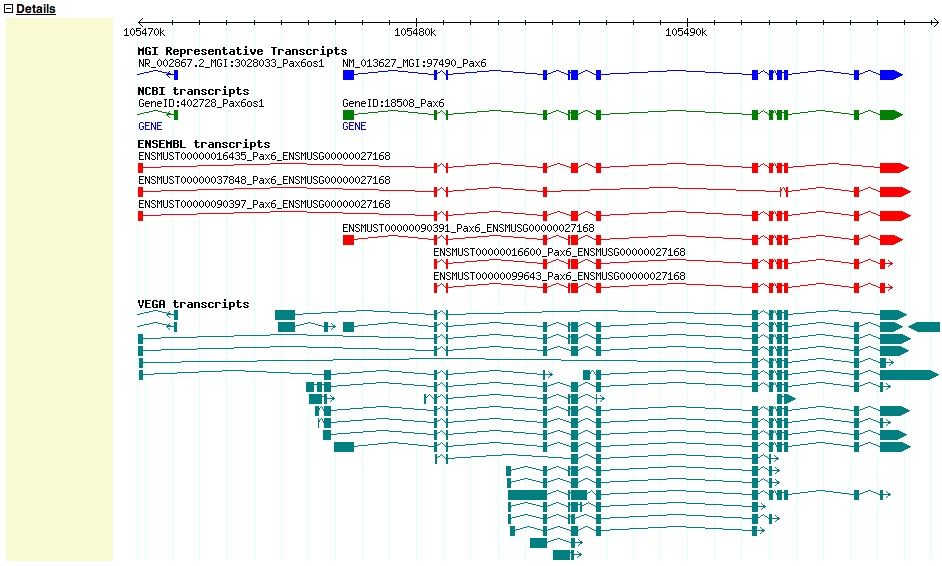 Genome Browser Details