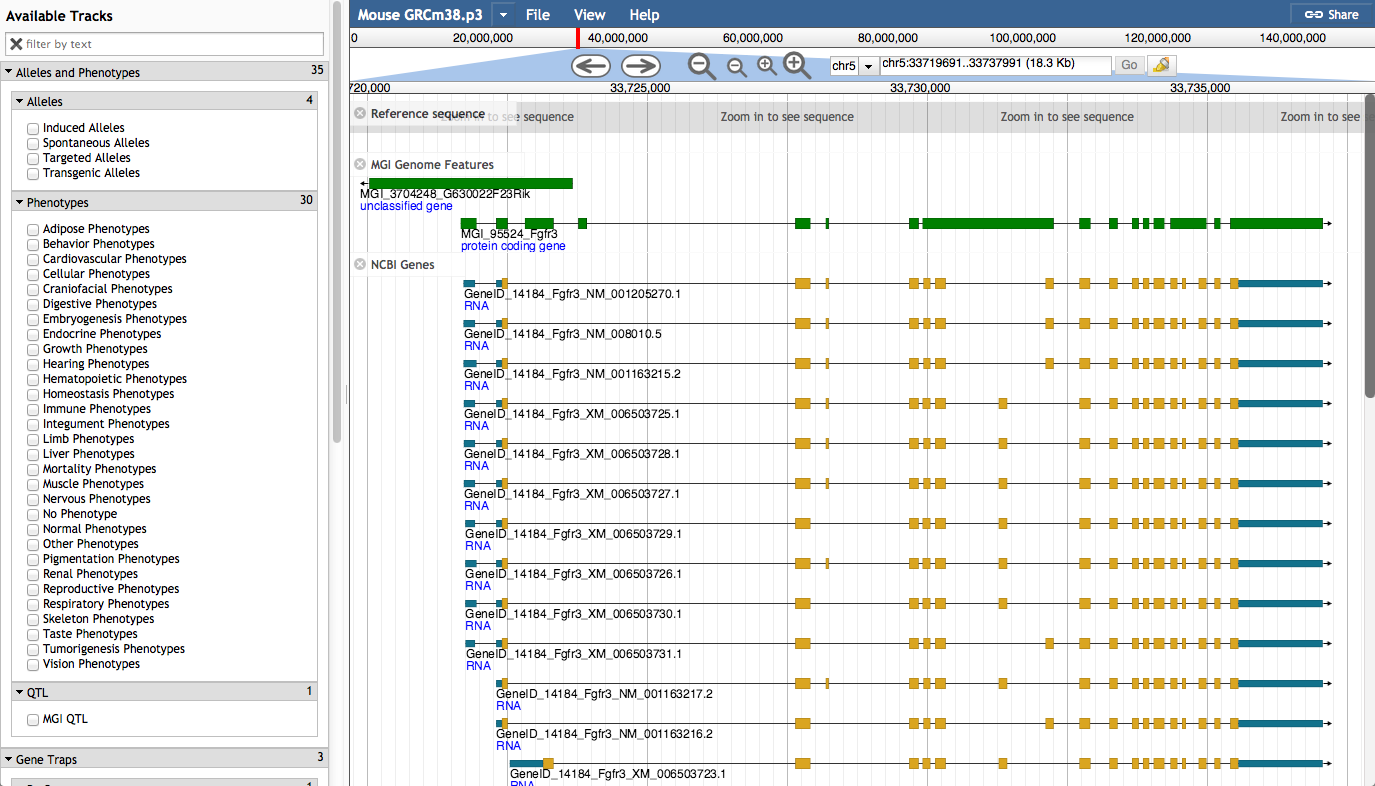 Gene track image for Fgfr3