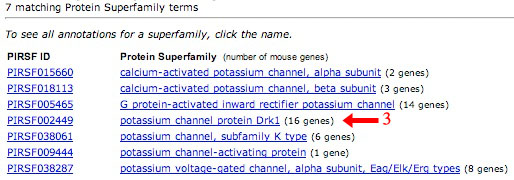 PIRSF Search Results Shot