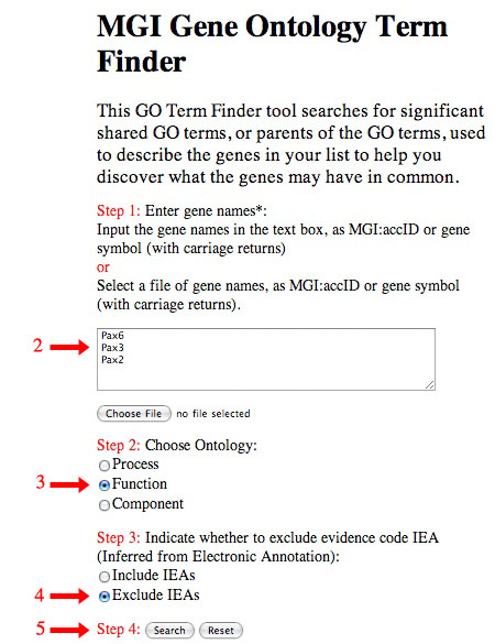 GO Term Finder Screen Shot