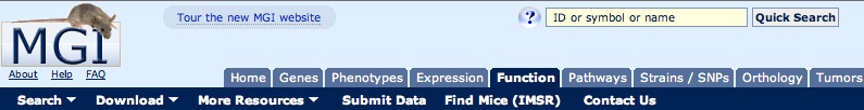 GO Tab Header