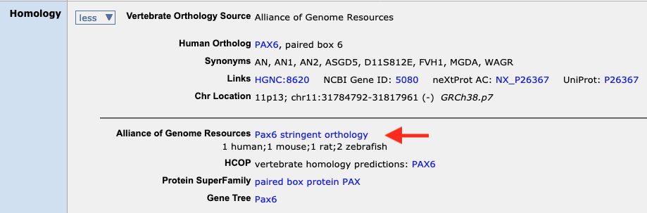 Pax6 Orthology